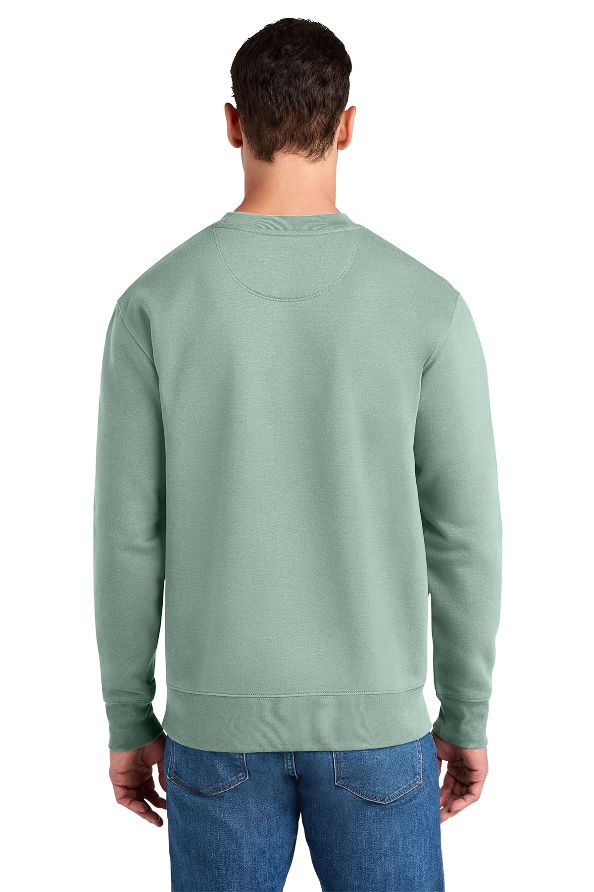 Stanley/Stella Unisex Changer 2.0 Crewneck Sweatshirt in Aloe, back on model