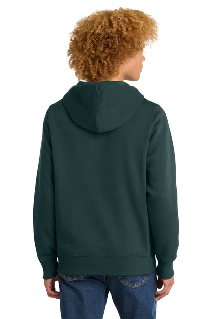 District Perfect Weight Fleece Hoodie - Rainforest - back